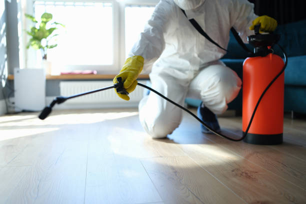 Reliable Sewage Cleanup contractor in Stockton, IL by Trauma Clean Pros
